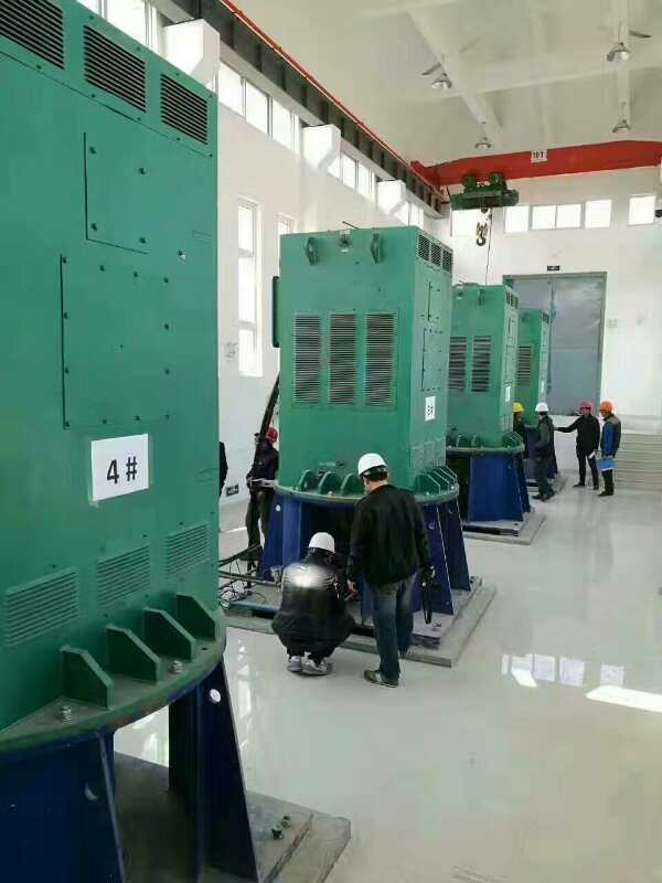 良庆某污水处理厂使用我厂的立式高压电机安装现场
